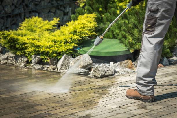 Best Driveway Cleaning and Restoration in Essexville, MI
