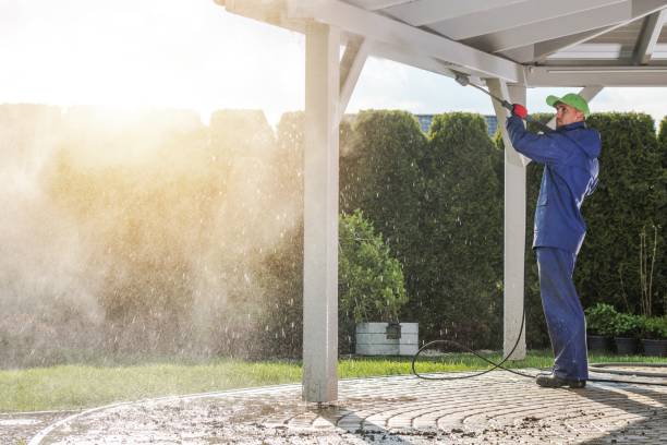 Best Vinyl Siding Pressure Washing in Essexville, MI